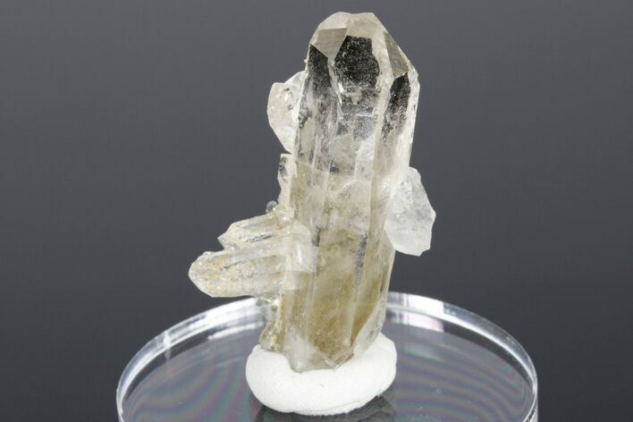 Clear Quartz Crystal Cluster - Hardangervidda, Norway #177356
